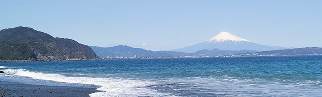 焼津の海イメージ