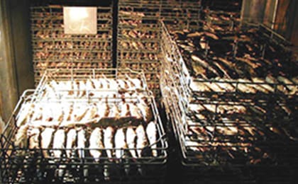 あん蒸イメージ