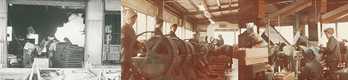 歴史沿革イメージ